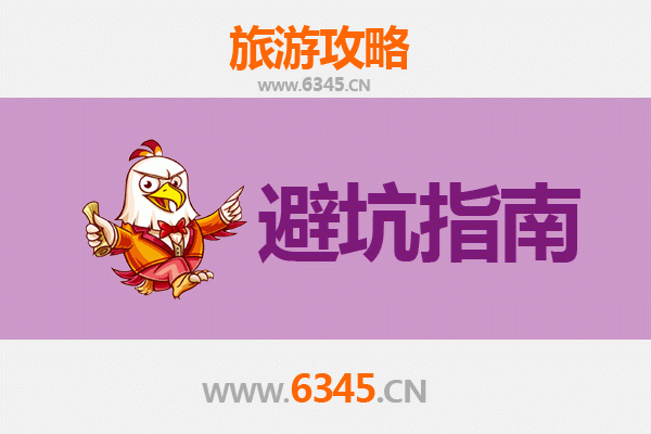 松阳秘境探幽：资深旅游博主的几大忠告与须知