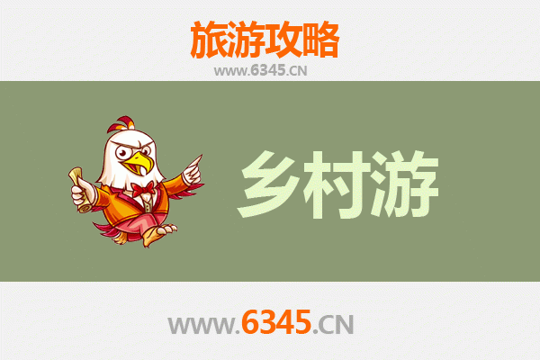 松阳秘境探幽：古村梯田与茶香漫旅